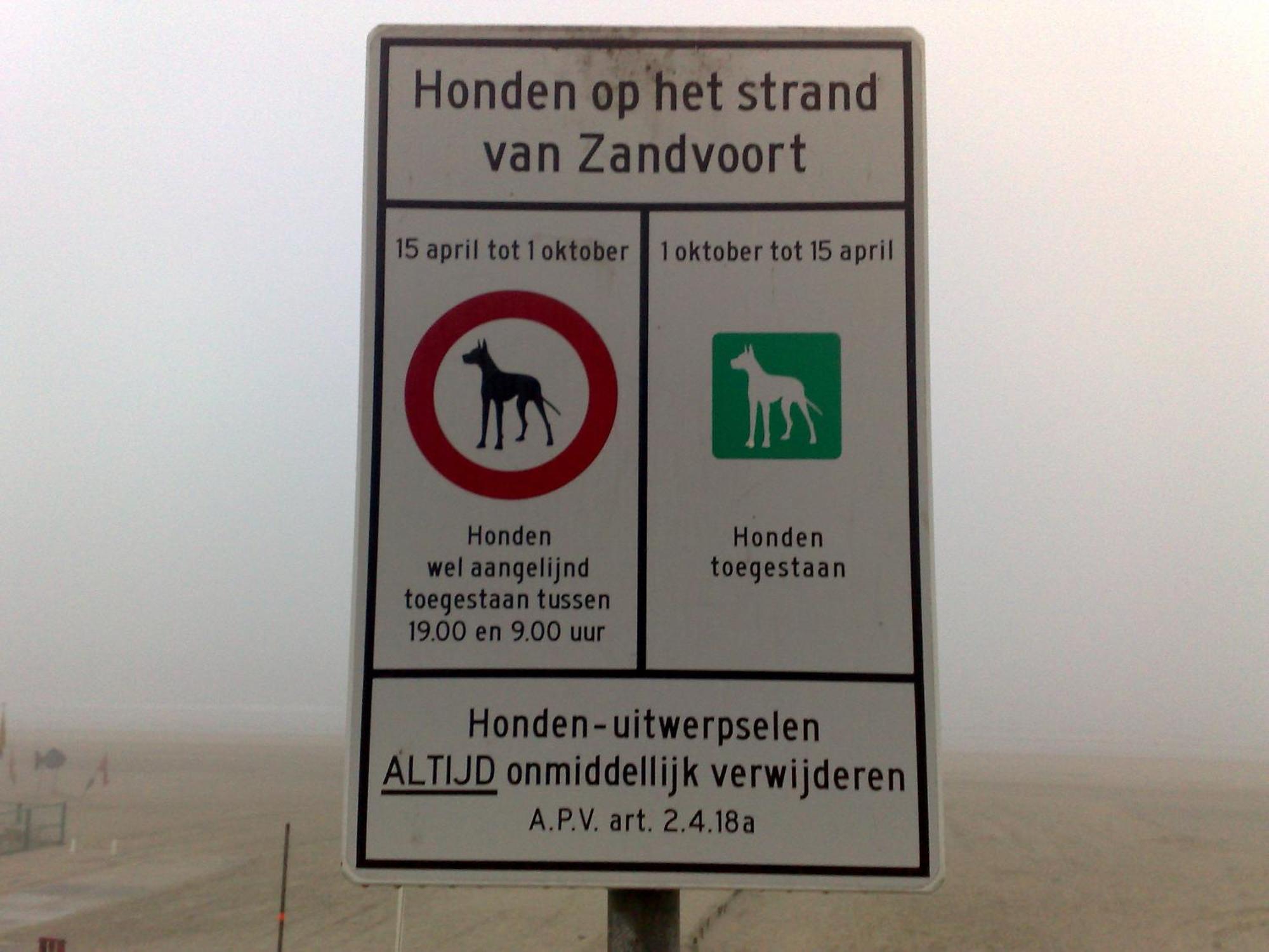 Appartement In Zandvoort Esterno foto