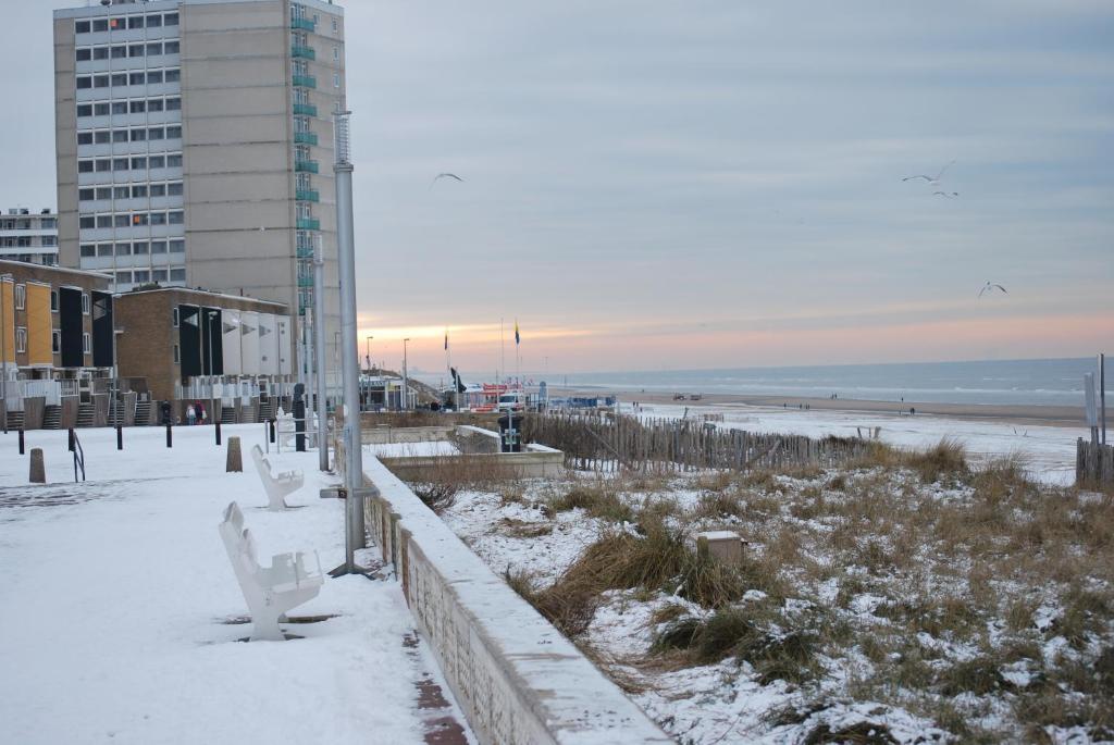 Appartement In Zandvoort Esterno foto